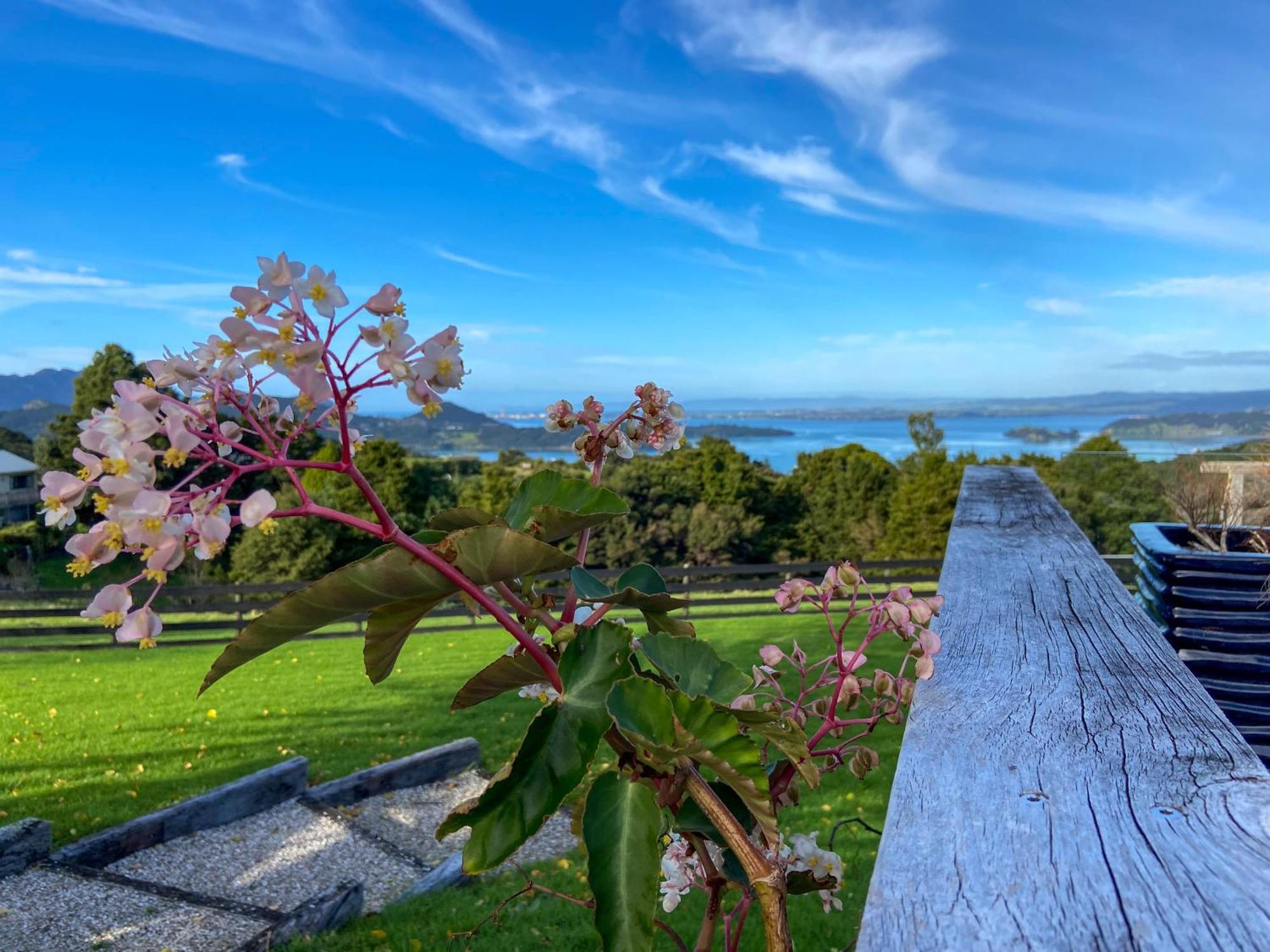 Kauri Villas Parua Bay Exterior photo